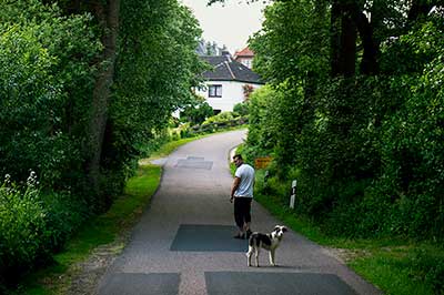 Mand og hund på vejen